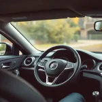 Kontrolki Toyota